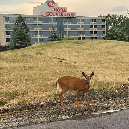 Hotels Gouverneur Montreal Lle Charron Longueuil Esterno foto