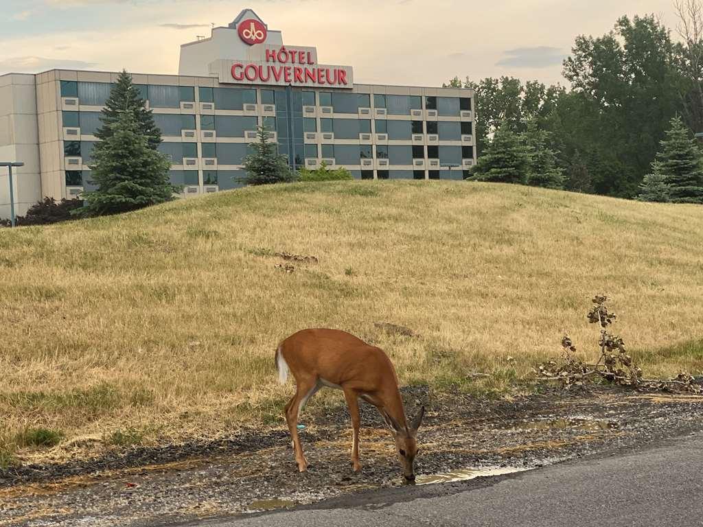 Hotels Gouverneur Montreal Lle Charron Longueuil Esterno foto